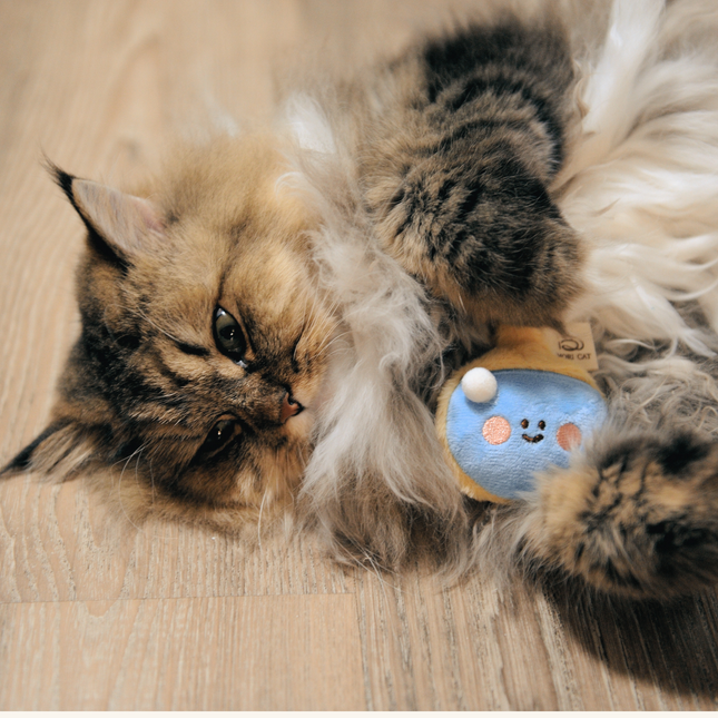 A fluffy long-haired cat lies on a light wood floor, playfully batting at a small blue and yellow plush toy with a cartoon face.