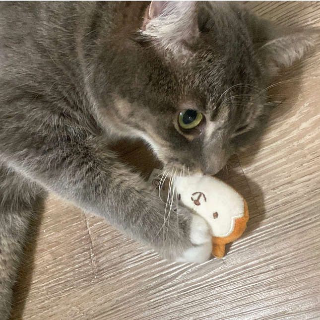 A gray tabby cat lies on a light wood floor, chewing on a small plush toy with a white body, orange belly, and embroidered face.