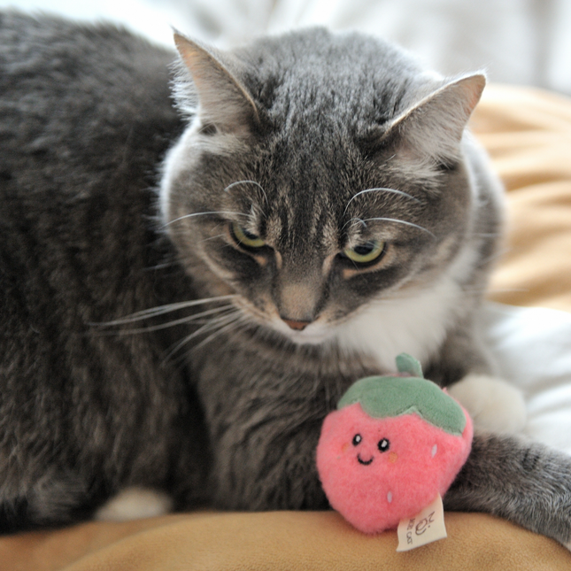 A gray tabby cat lies on a beige surface while looking down at a small pink strawberry plush toy with a green top and embroidered face.