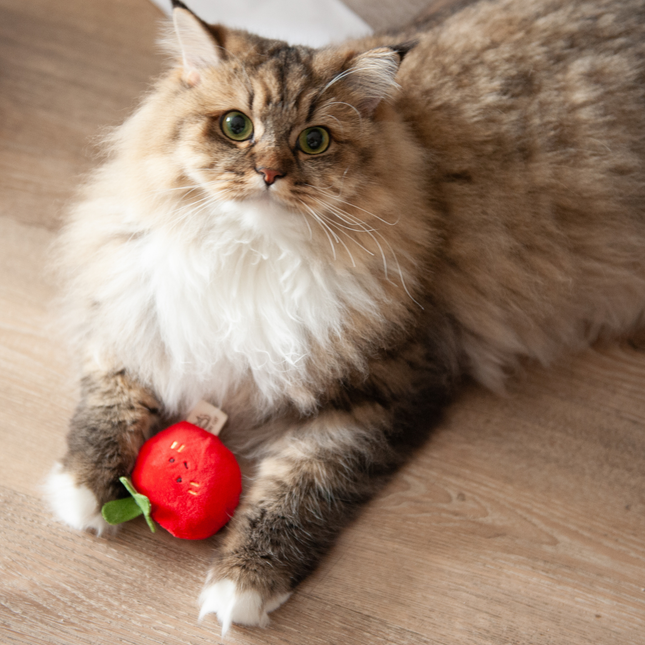 MoriCat Premium Silvervine Toy — Tomato