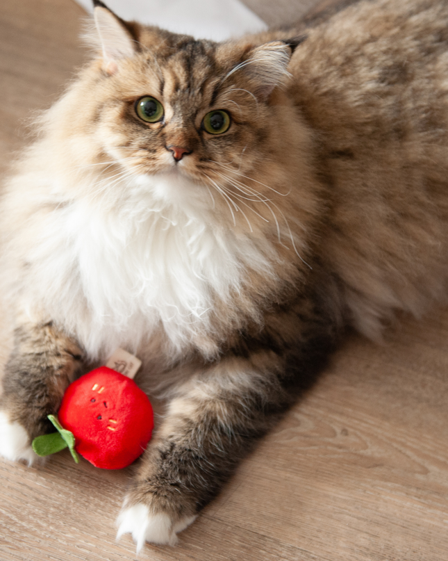 MoriCat Premium Catnip Toy — Tomato