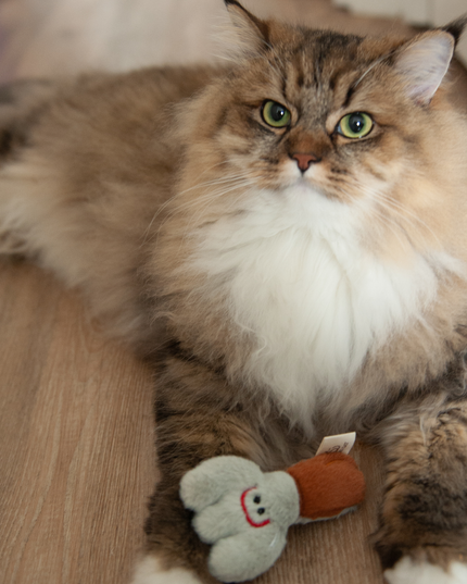 MoriCat Premium Catnip Toy — Fork