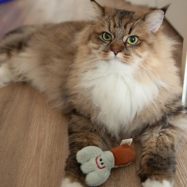 MoriCat Premium Silvervine Toy — Fork