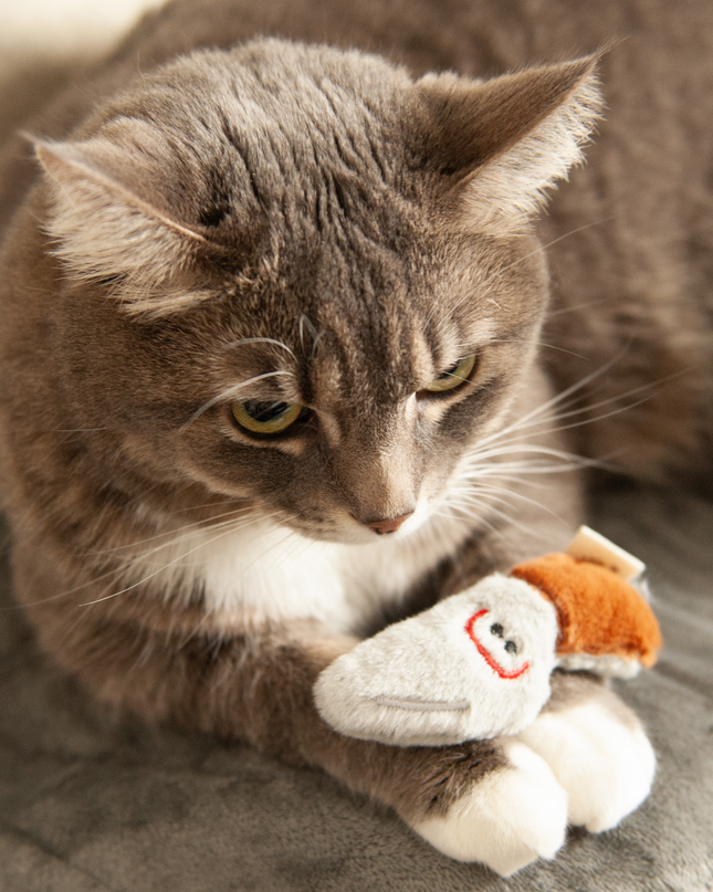 MoriCat Premium Catnip Toy — Knife