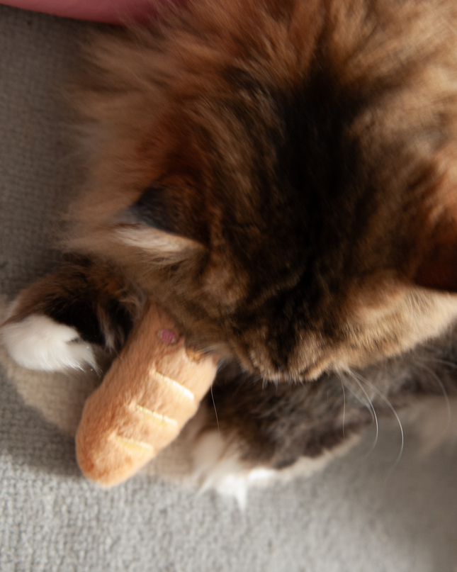 MoriCat Premium Catnip Toy — Baguette Capybara