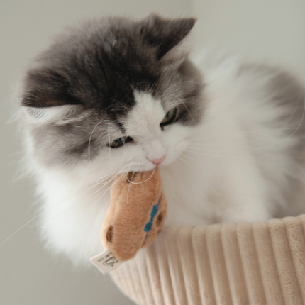 MoriCat Premium Catnip Toy — Chef Capybara