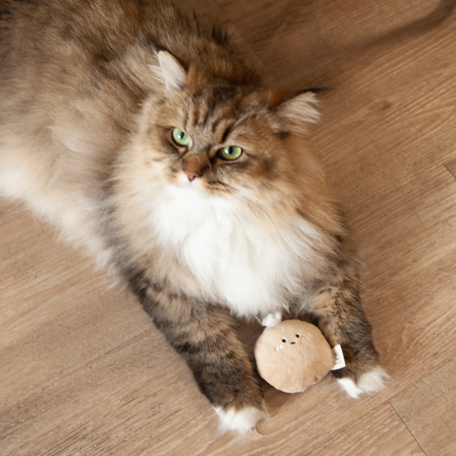 MoriCat Premium Silvervine Toy — Chef Potato