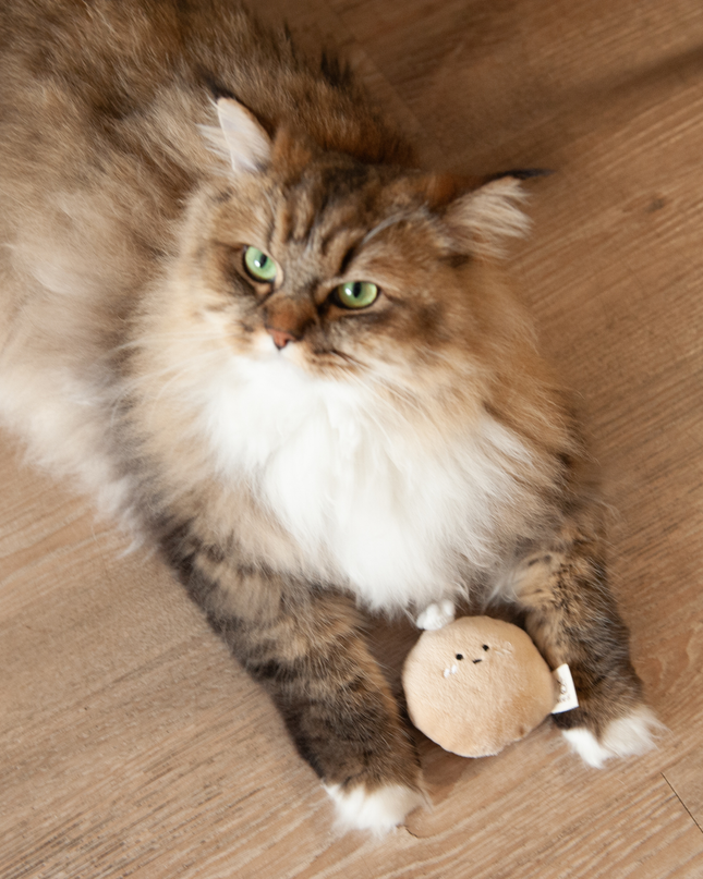 MoriCat Premium Catnip Toy — Chef Potato