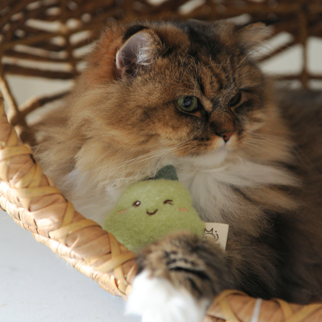 MoriCat Premium Silvervine Toy — Avocado