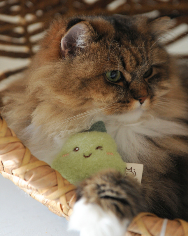 MoriCat Premium Catnip Toy — Avocado