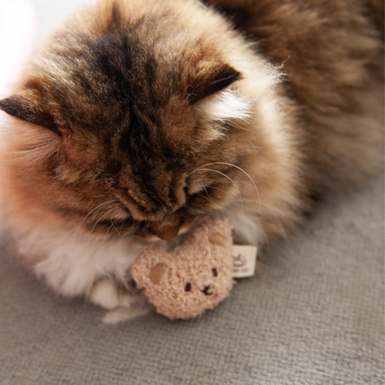 MoriCat Premium Catnip Toy — Beige Bear Head