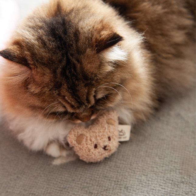 MoriCat Premium Silvervine Toy — Beige Bear Head