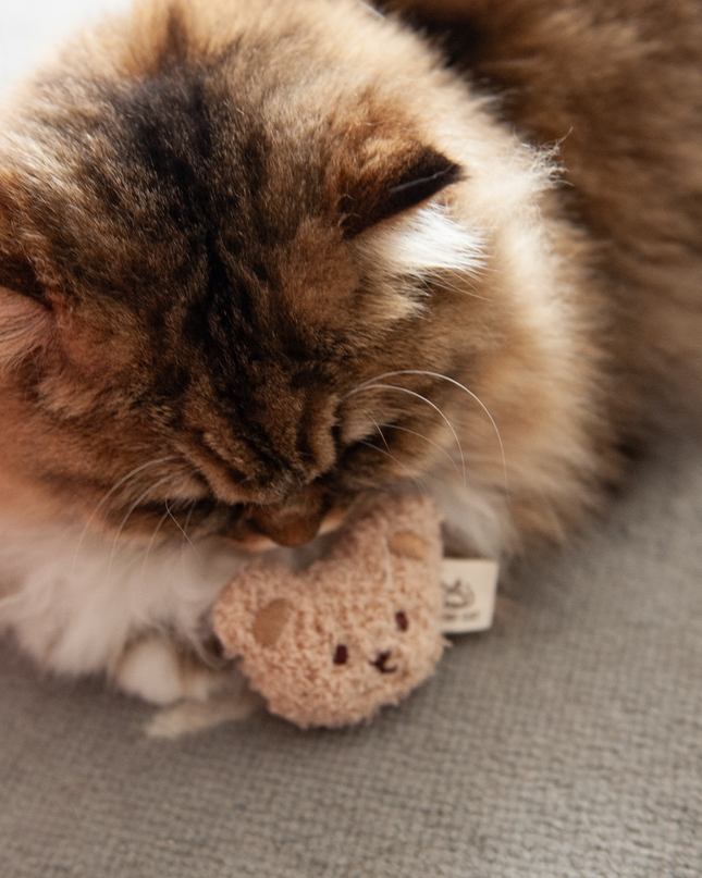 MoriCat Premium Catnip Toy — Beige Bear Head