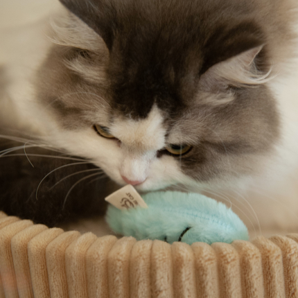 MoriCat Premium Catnip Toy — Blue Fish