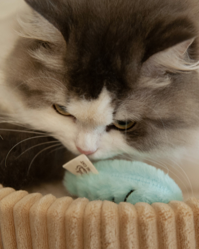 MoriCat Premium Catnip Toy — Blue Fish