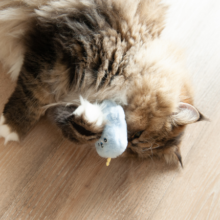 MoriCat Premium Catnip Toy — Blue Monster