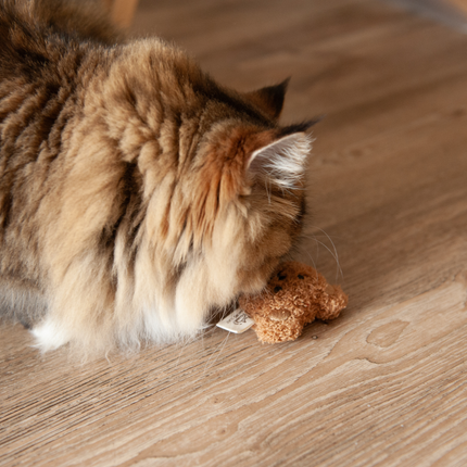 MoriCat Premium Catnip Toy — Brown Bear Head