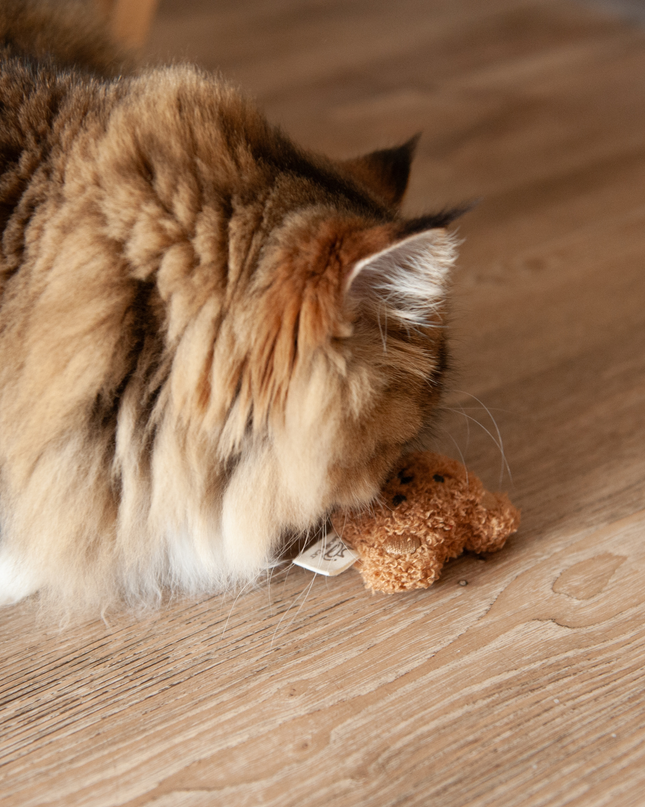 MoriCat Premium Catnip Toy — Brown Bear Head