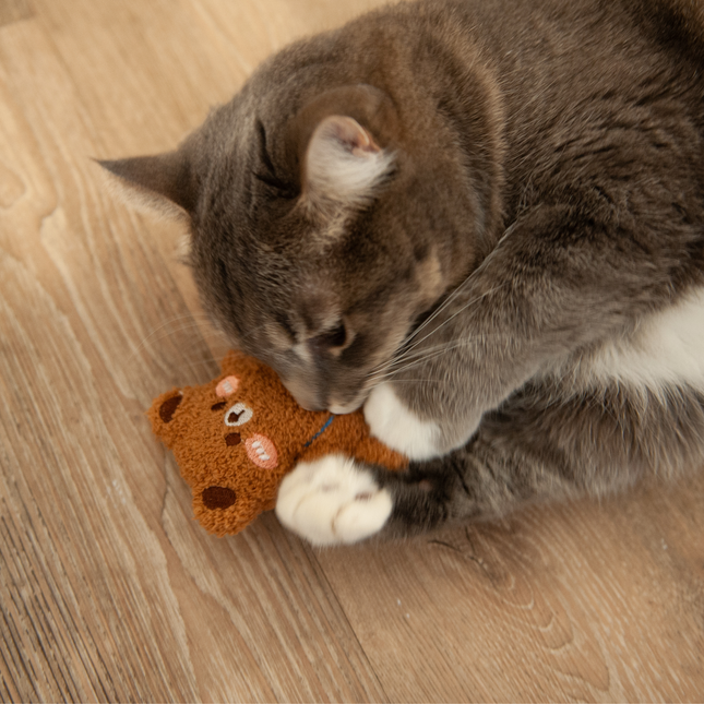 MoriCat Premium Silvervine Toy — Large Brown Bear