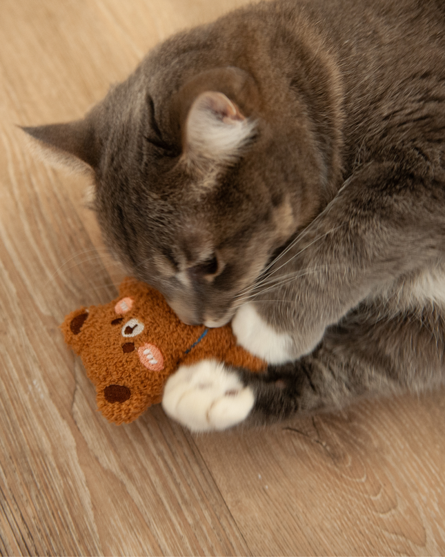 MoriCat Premium Catnip Toy — Large Brown Bear