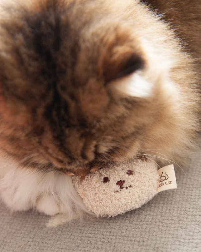 MoriCat Premium Catnip Toy — Cream Bear Head