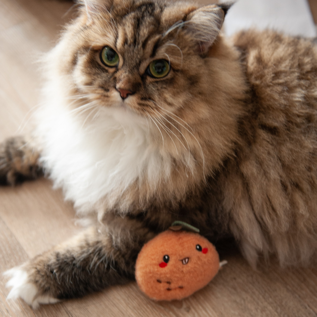 MoriCat Premium Silvervine Toy — Orange