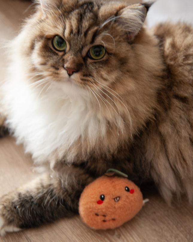 MoriCat Premium Catnip Toy — Orange