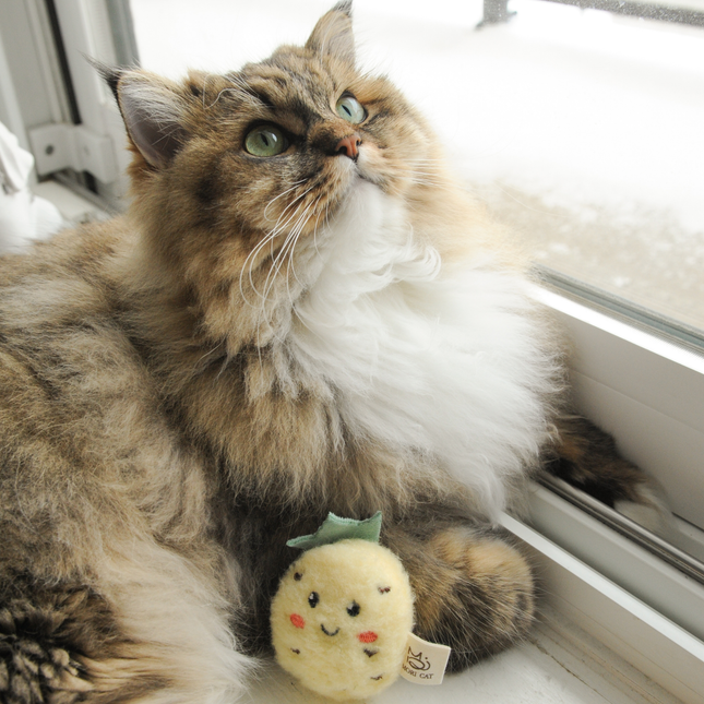 MoriCat Premium Silvervine Toy — Pineapple