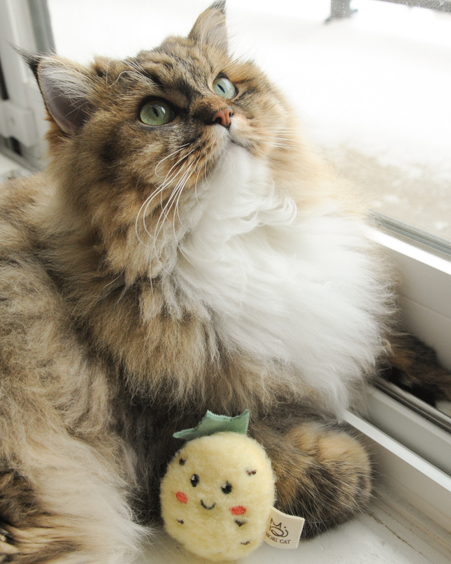 MoriCat Premium Catnip Toy — Pineapple