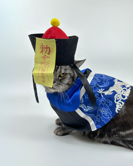 Chinese Zombie Pet Costume