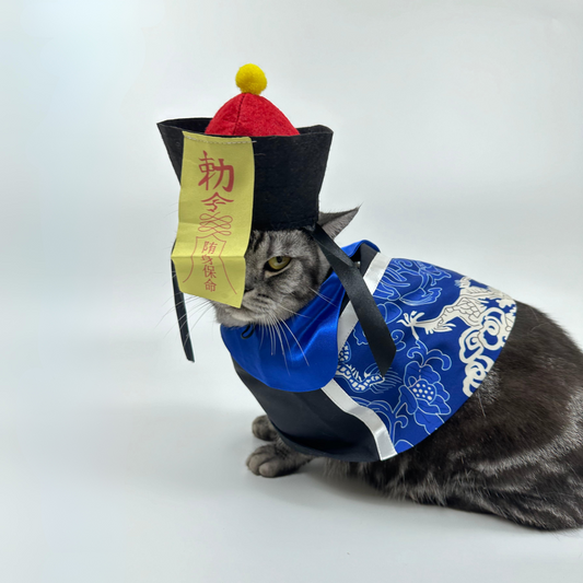 Chinese Zombie Pet Costume
