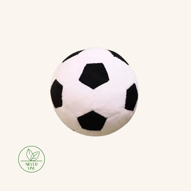 A classic black and white soccer ball plush toy centered on a light cream background, with a green 'Silver Vine' sign in the bottom-left corner.