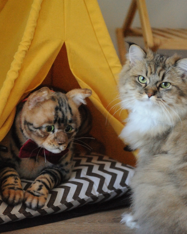 16-Inch Custom Pet Plush Gift (41 cm) – Handcrafted Collector’s Edition