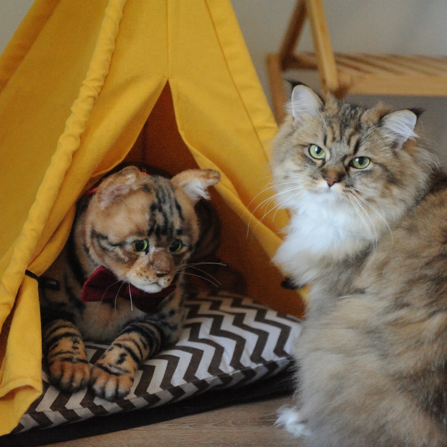 16-Inch Custom Pet Plush Gift (41 cm) – Handcrafted Collector’s Edition