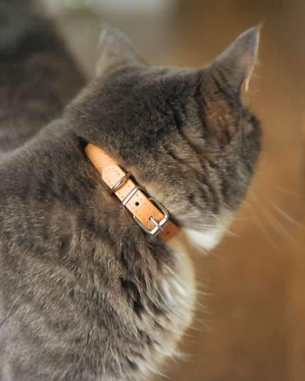 MoriCat Premium Vegan Leather Beige Cat Collar