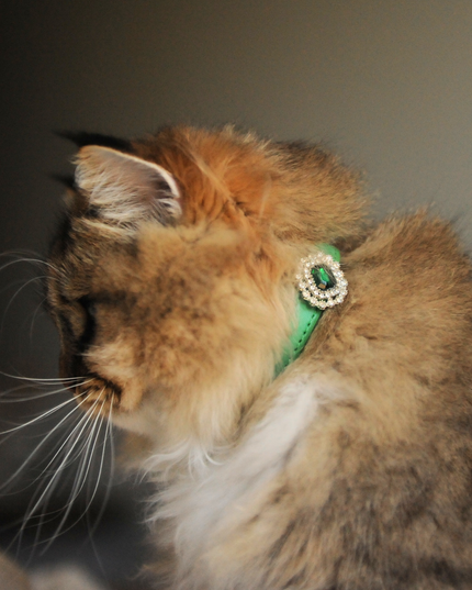 MoriCat Premium Vegan Leather Green Cat Collar