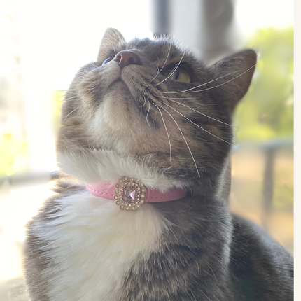 MoriCat Premium Vegan Leather Pink Cat Collar