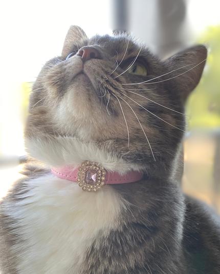 MoriCat Premium Vegan Leather Pink Cat Collar