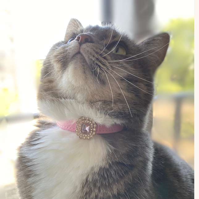 MoriCat Premium Vegan Leather Pink Cat Collar