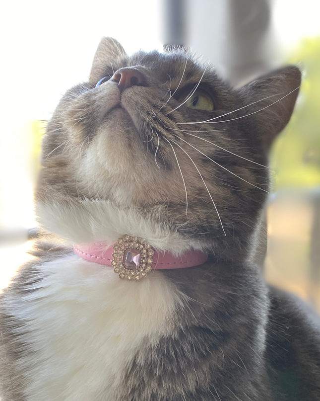MoriCat Premium Vegan Leather Pink Cat Collar