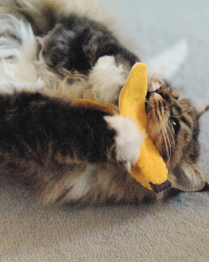 Moricat Handmade Wool Banana Cat Toy