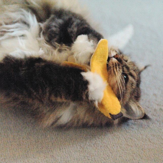 Moricat Handmade Wool Banana Cat Toy