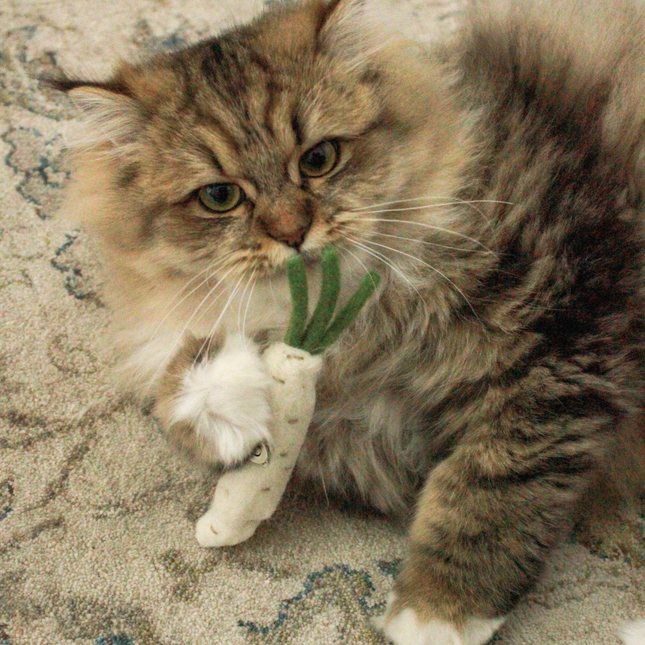 Moricat Handmade Wool Daikon Cat Toy