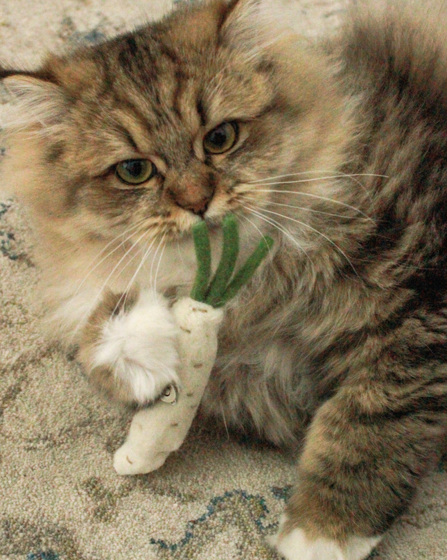 Moricat Handmade Wool Daikon Cat Toy