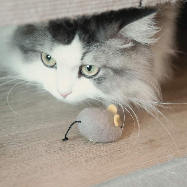 Moricat Handmade Wool Mouse Cat Toy