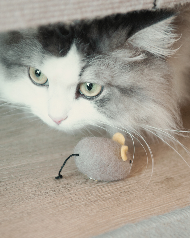 Moricat Handmade Wool Mouse Cat Toy