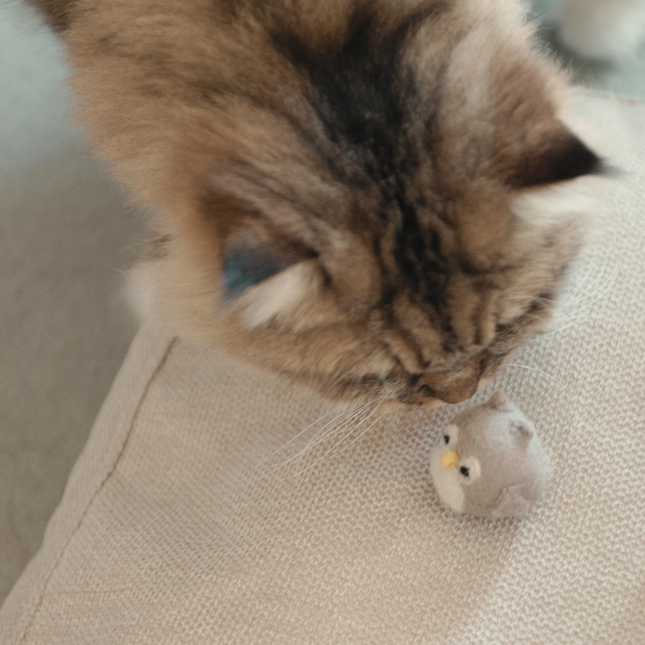 Moricat Handmade Wool Owl Cat Toy