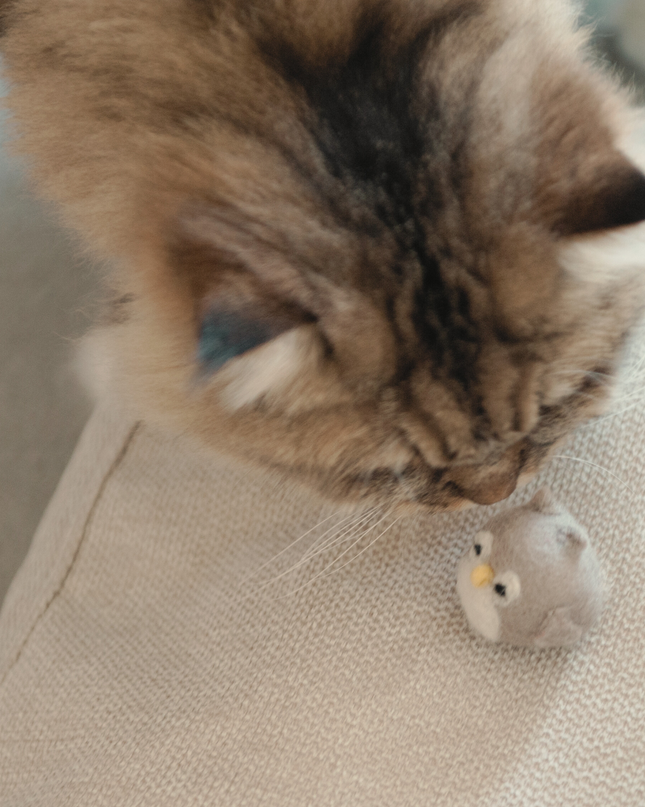 Moricat Handmade Wool Owl Cat Toy