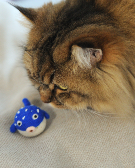 The Wool Pufferfish — A Little Spiky, A Lot of Fun