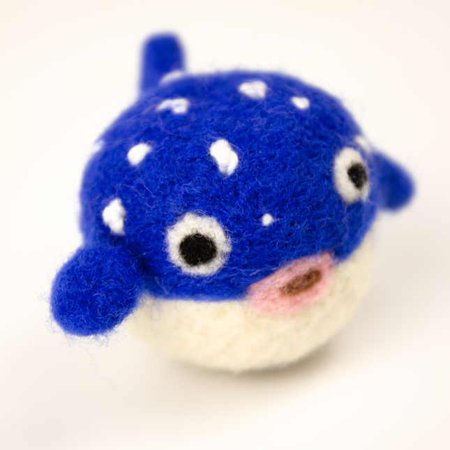 The Wool Pufferfish — A Little Spiky, A Lot of Fun